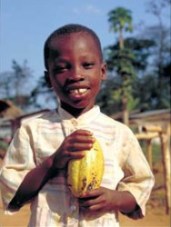 boy holding cocoa pod